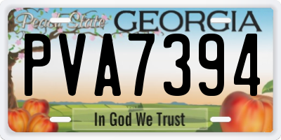 GA license plate PVA7394