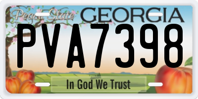 GA license plate PVA7398