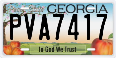 GA license plate PVA7417