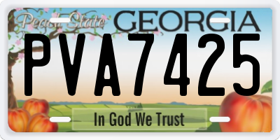 GA license plate PVA7425