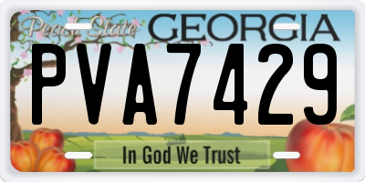 GA license plate PVA7429