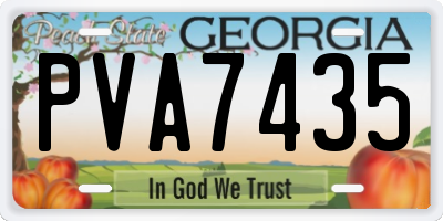 GA license plate PVA7435