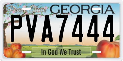GA license plate PVA7444