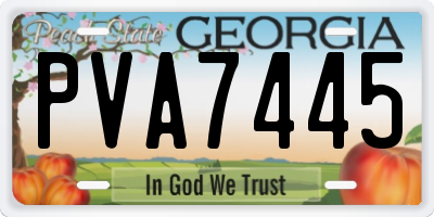 GA license plate PVA7445