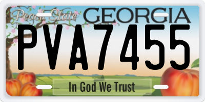 GA license plate PVA7455