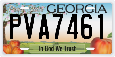 GA license plate PVA7461