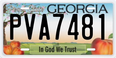 GA license plate PVA7481