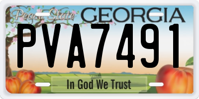 GA license plate PVA7491