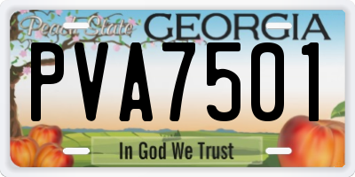 GA license plate PVA7501