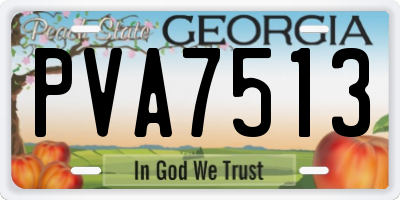GA license plate PVA7513