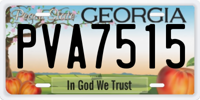 GA license plate PVA7515