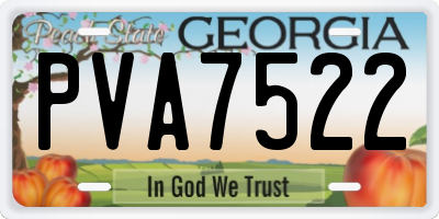 GA license plate PVA7522