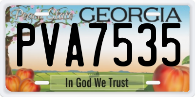 GA license plate PVA7535