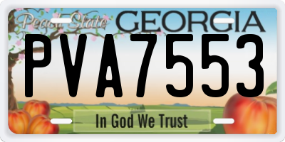 GA license plate PVA7553