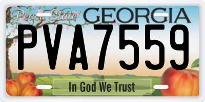 GA license plate PVA7559