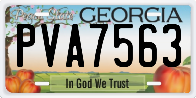 GA license plate PVA7563