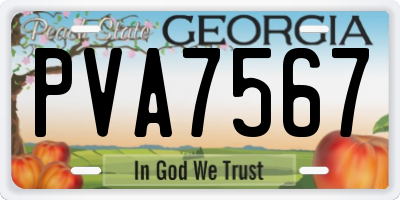 GA license plate PVA7567