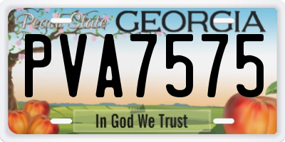 GA license plate PVA7575
