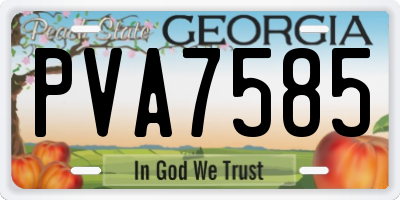 GA license plate PVA7585