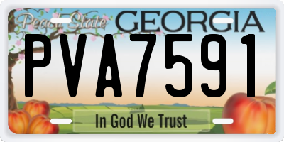 GA license plate PVA7591