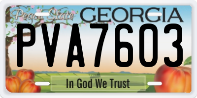 GA license plate PVA7603