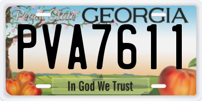 GA license plate PVA7611