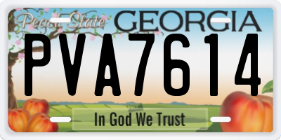 GA license plate PVA7614