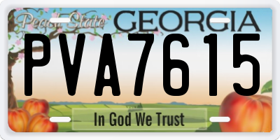 GA license plate PVA7615