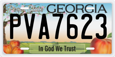 GA license plate PVA7623