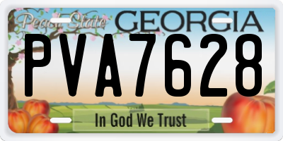 GA license plate PVA7628