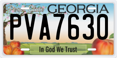 GA license plate PVA7630