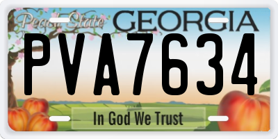 GA license plate PVA7634