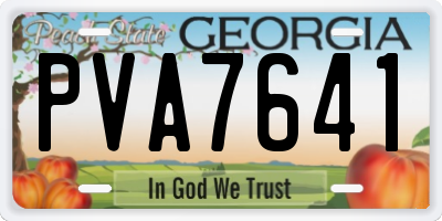 GA license plate PVA7641