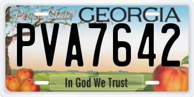 GA license plate PVA7642