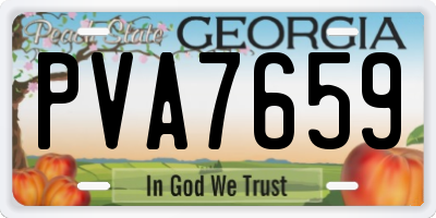 GA license plate PVA7659
