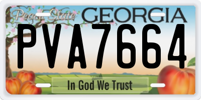 GA license plate PVA7664