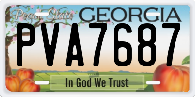 GA license plate PVA7687