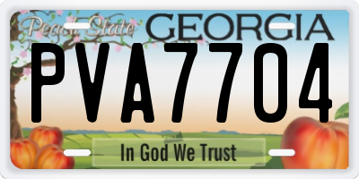 GA license plate PVA7704