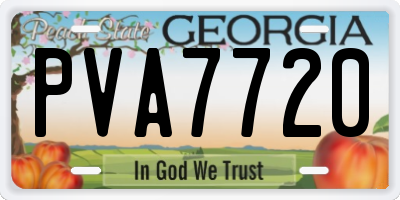 GA license plate PVA7720