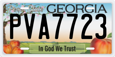 GA license plate PVA7723