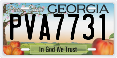 GA license plate PVA7731