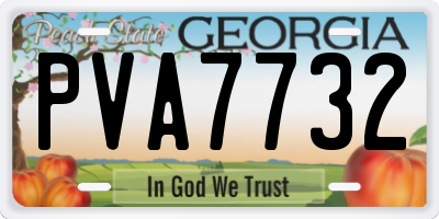 GA license plate PVA7732