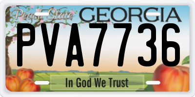 GA license plate PVA7736