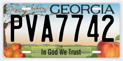 GA license plate PVA7742