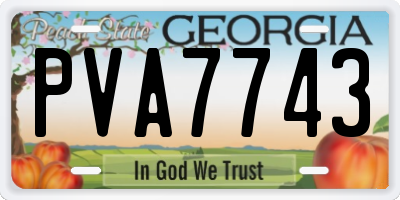 GA license plate PVA7743