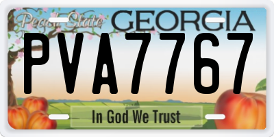 GA license plate PVA7767