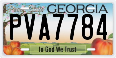 GA license plate PVA7784