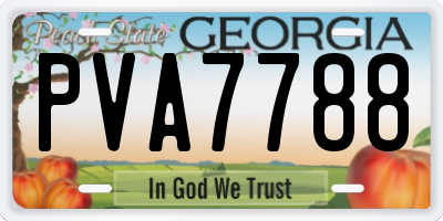 GA license plate PVA7788