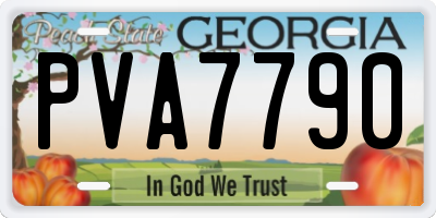GA license plate PVA7790