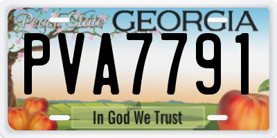 GA license plate PVA7791